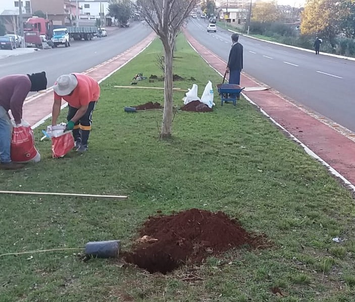 MEIO AMBIENTE I Feito o plantio de mais de 100 mudas de árvores no município