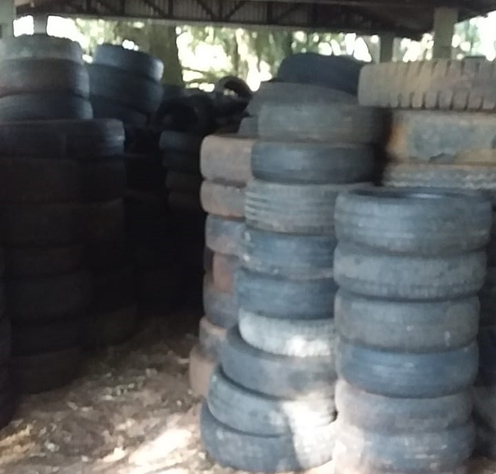 SAÚDE I Dia 28 de abril teremos recolhimento de pneus usados no Parque Armídio Bertani