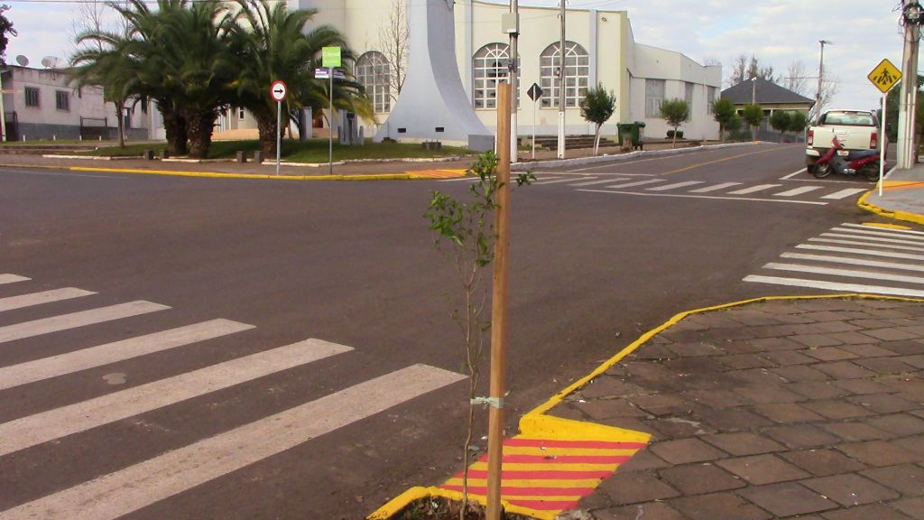 Prefeitura faz o plantio de árvores na Av. Duque de Caxias