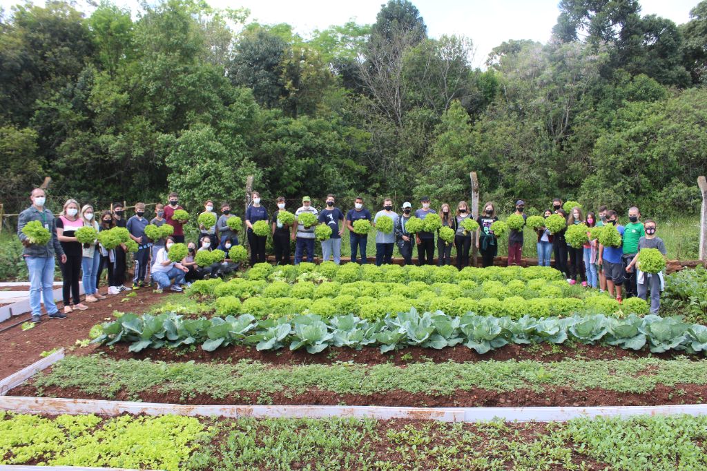 Cooperativa Escolar realiza primeira colheita de hortaliças