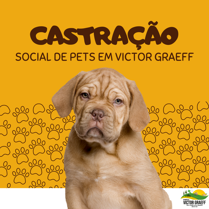 Castração Social de Cães e Gatos