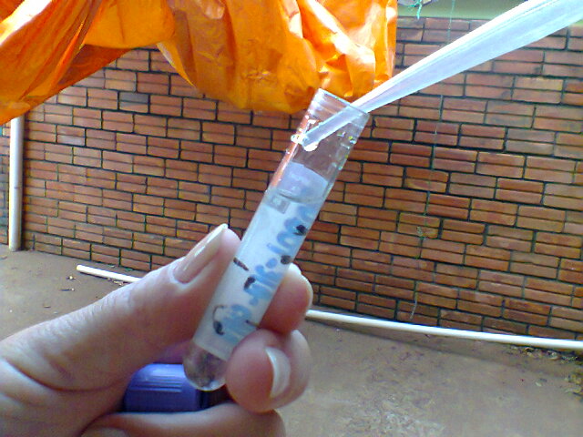 Emitido alerta para o risco de dengue