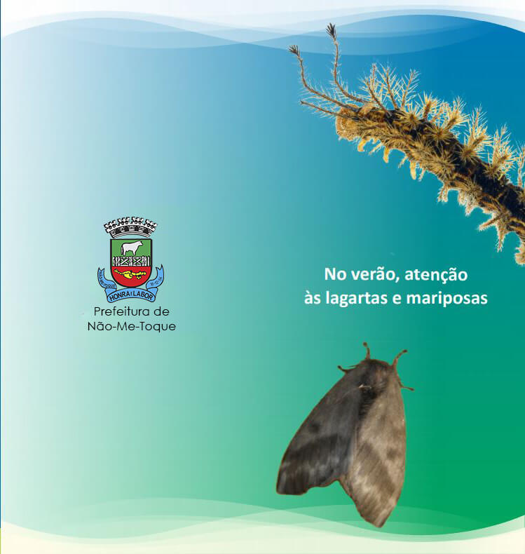 Saúde alerta para cuidados com lagartas e mariposas