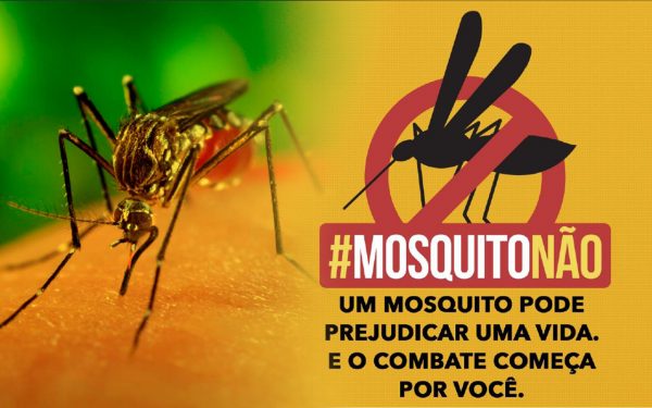 Alerta Vermelho! Não-Me-Toque tem Infestação de Alto Risco do Aedes Aegypti