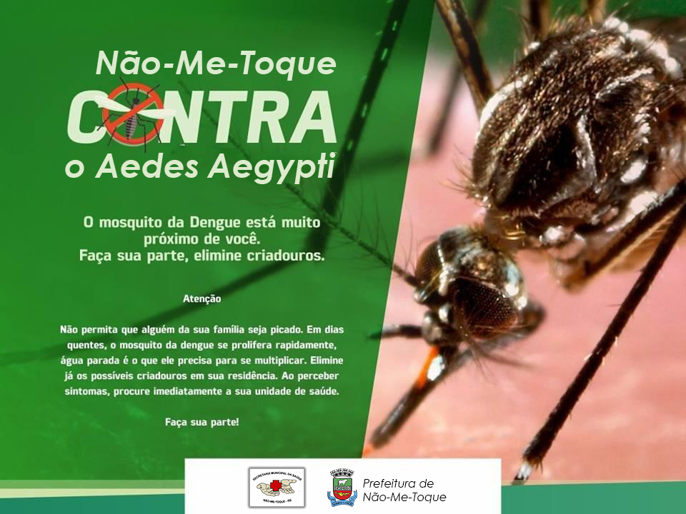 Secretaria de Saúde promove ações para diminuir a infestação do Aedes Aegypti em Não-Me-Toque