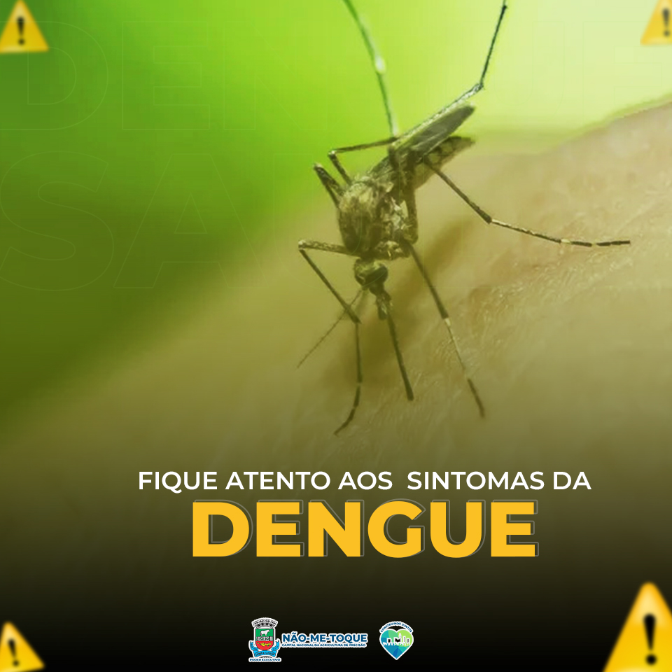 Fique atento à proliferação do mosquito Aedes Aegypti!