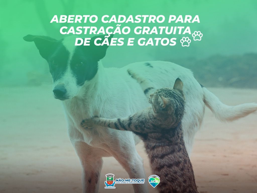 Prefeitura de Não-Me-Toque abre cadastro para castração gratuita de cães e gatos
