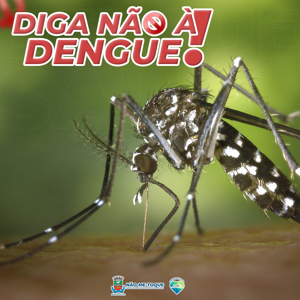 Diga não à dengue: ajude a evitar locais com água parada
