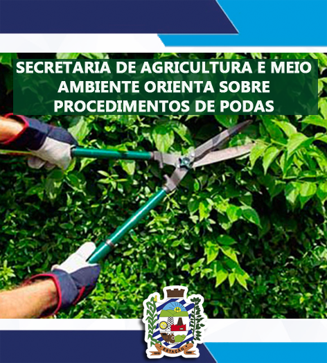 Secretaria de Agricultura e Meio Ambiente orienta sobre procedimentos de podas e supressões de árvores em locais públicos e áreas particulares